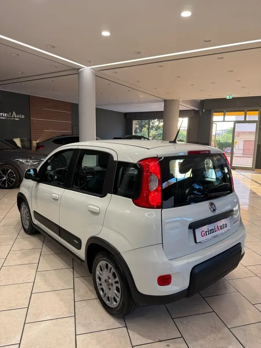 Usata Fiat Panda Easy 71 CV (52 kW) 2020 Bianco Utilitaria