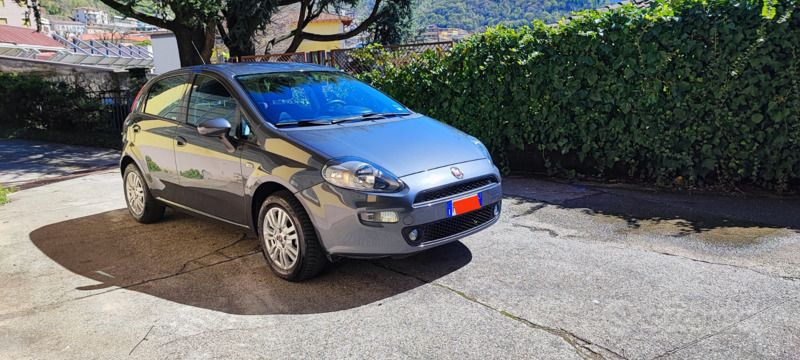 Usata Fiat Punto Lounge 69 CV (50 kW) 2017 Argento Utilitaria
