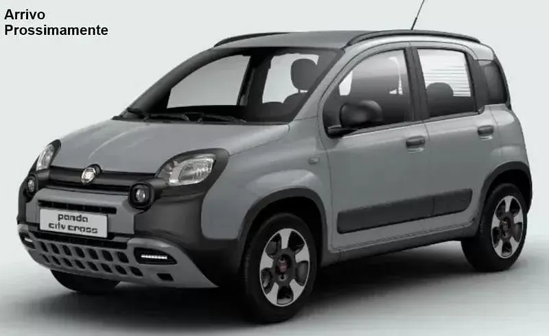 Usata Fiat Panda Cross Cross 95 CV (69 kW) 2018 Grigio Utilitaria