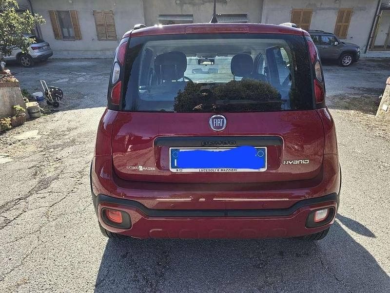 Usata Fiat Panda Red 69 CV (50 kW) 2023 Utilitaria
