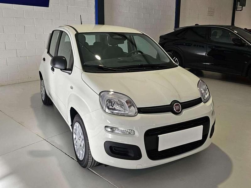 Nuova Fiat Panda Icon 69 CV (50 kW) 2025 Bianco Utilitaria
