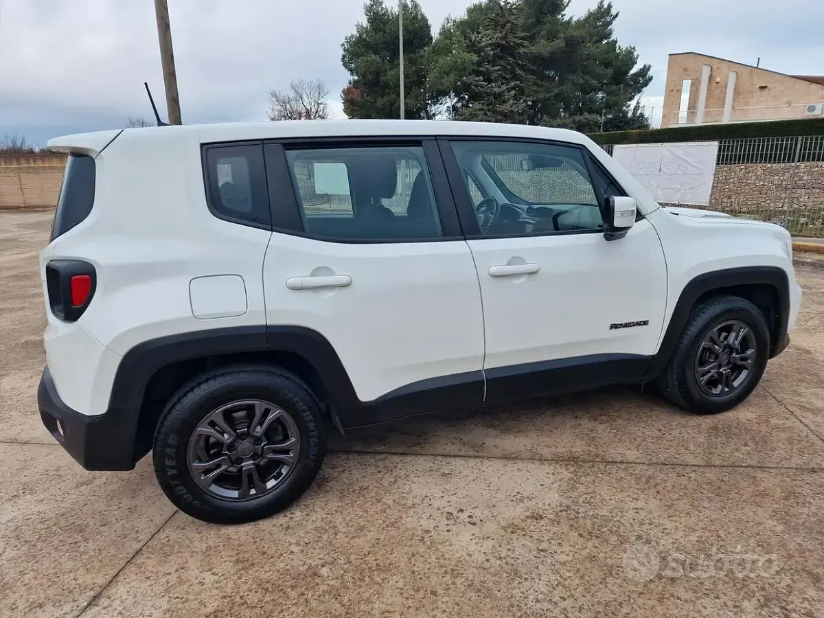 Usata Jeep Renegade Longitude 130 CV (95 kW) 2021 Bianco SUV