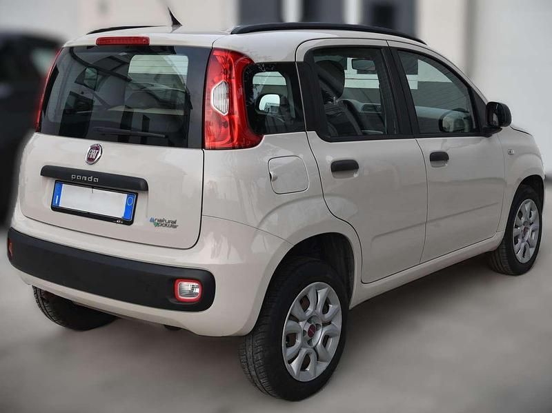Usata Fiat Panda Easy 80 CV (58 kW) 2014 Caffelatte Utilitaria