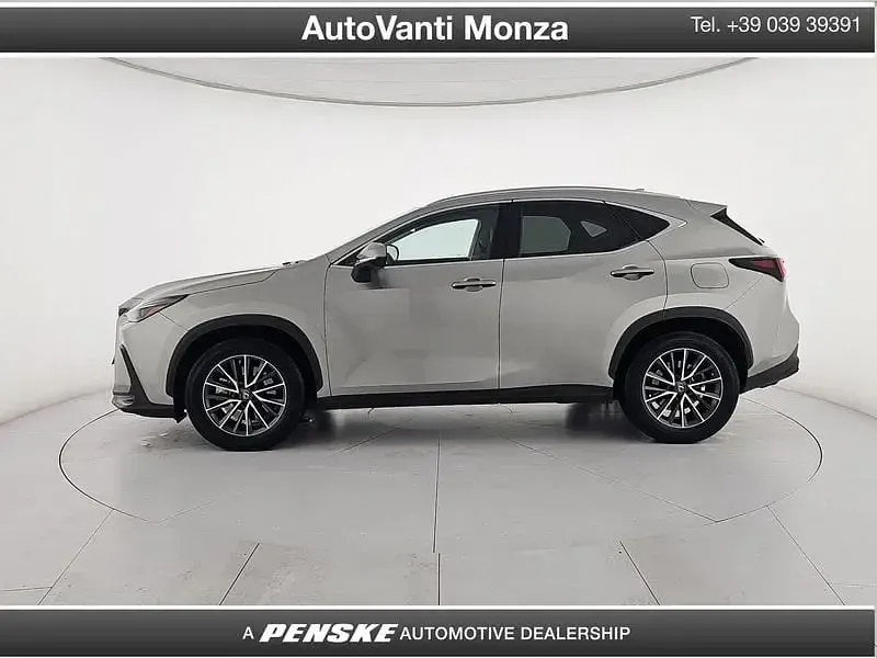 Usata Lexus NX450h+ 309 CV (227 kW) 2023 Argento SUV