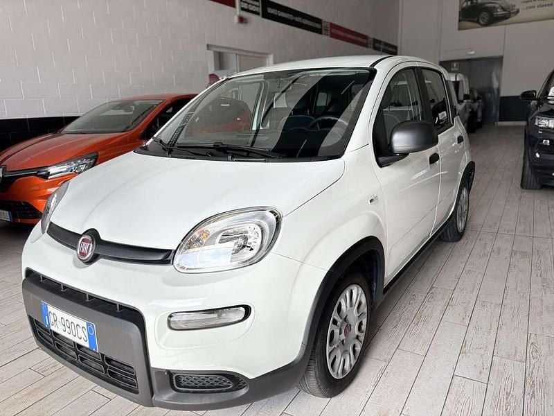 Usata Fiat Panda 69 CV (50 kW) 2023 Bianco gelato Utilitaria