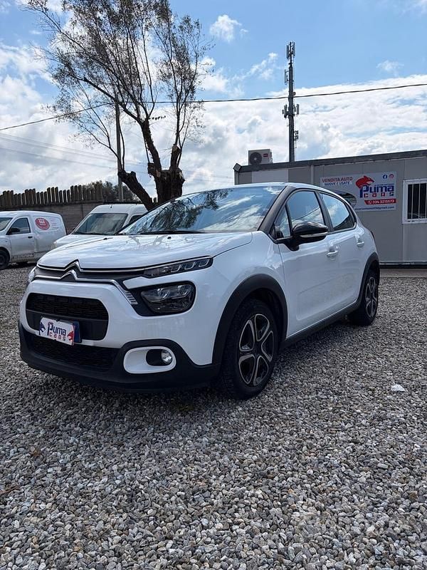 Occasion Citroën C3 Shine 102 ch (75 kW) 2023 Blanc Citadine