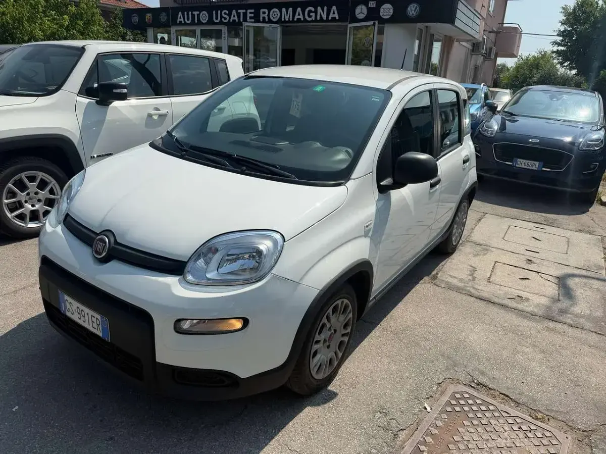 Usata Fiat Panda S 69 CV (50 kW) 2023 Bianco Utilitaria