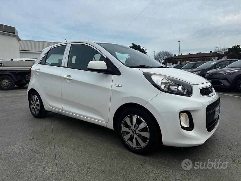 Usata Kia Picanto 67 CV (49 kW) 2016 Bianco Utilitaria