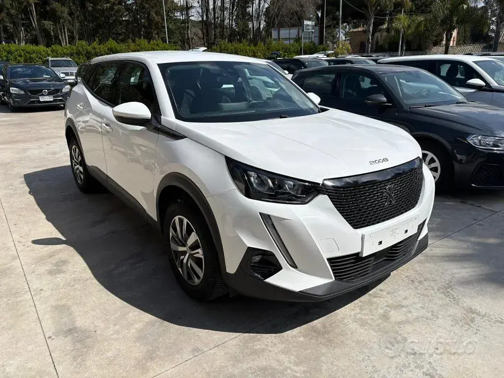 Usata Peugeot 2008 Active 110 CV (80 kW) 2021 Bianco SUV