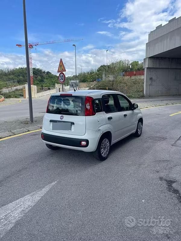 Usata Fiat Panda 2015 Bianco Utilitaria