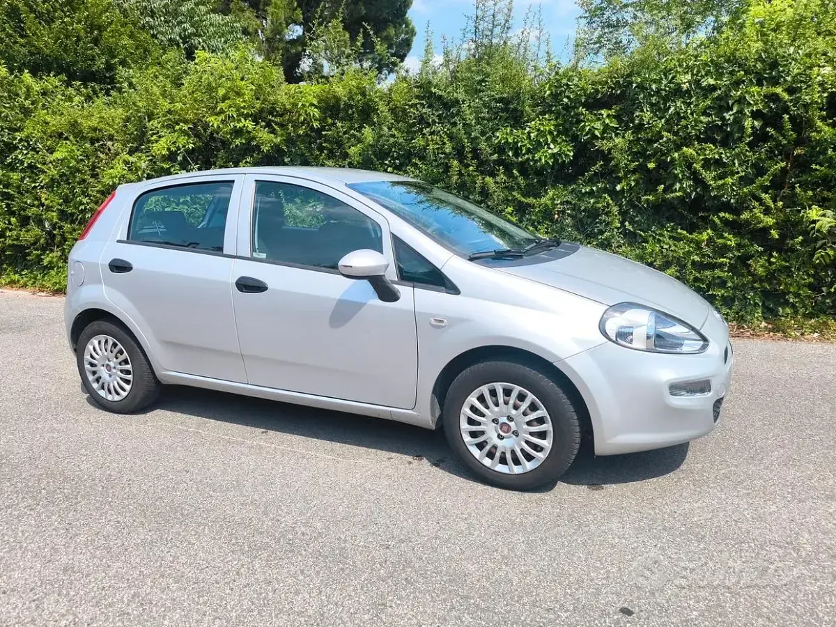 Usata Fiat Punto Evo 69 CV (50 kW) 2016 Grigio Utilitaria