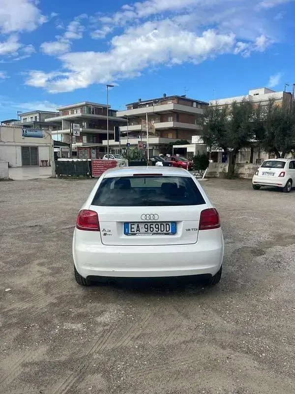 Usata Audi A3 Ambiente 105 CV (77 kW) 2010 Utilitaria