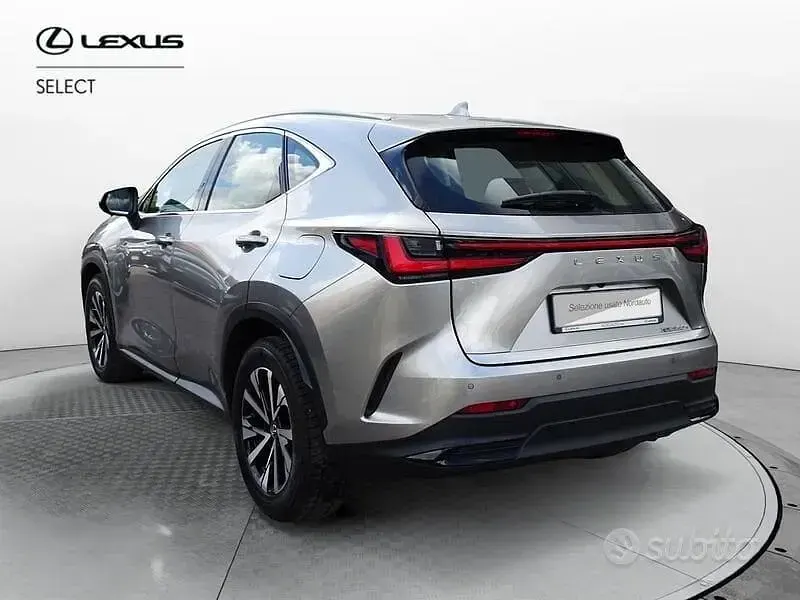 Usata Lexus NX350h Business Edition 243 CV (178 kW) 2023 Grigio SUV