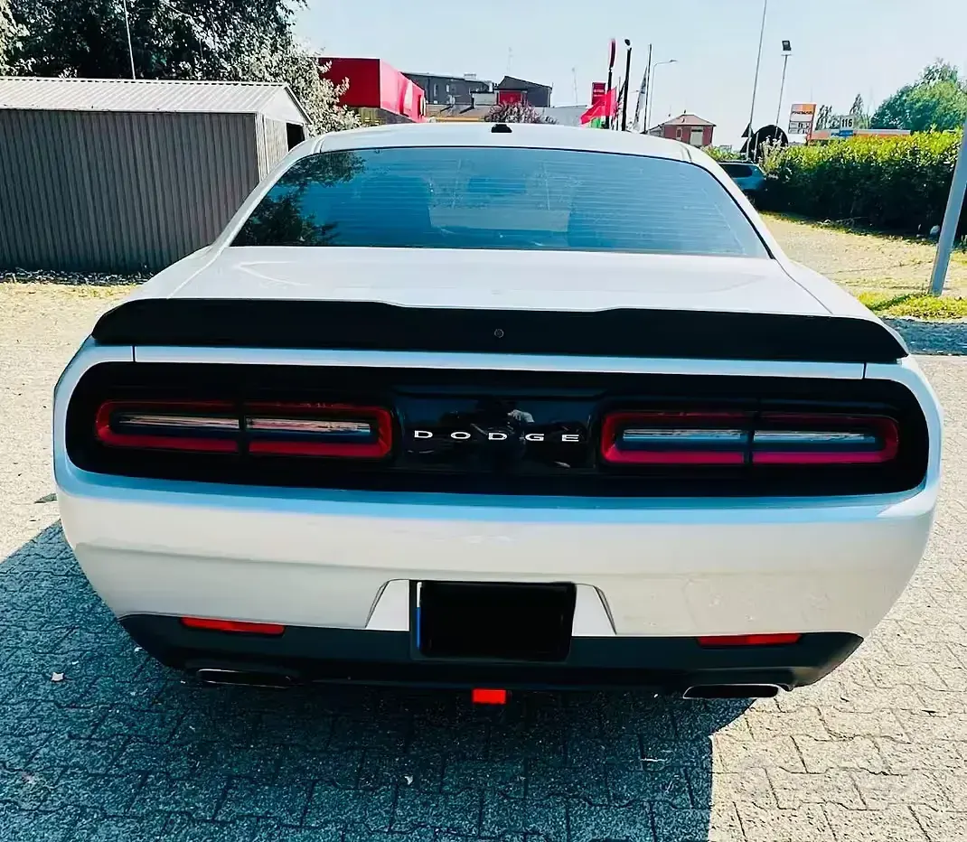 Usata Dodge Challenger 375 CV (275 kW) 2020 Grigio Coupé