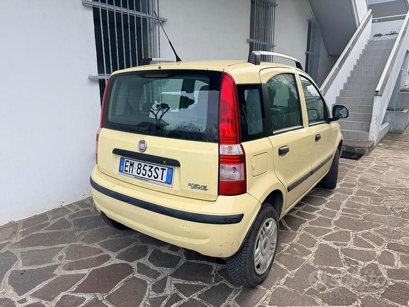 Usata Fiat Panda 77 CV (56 kW) 2012 Giallo Utilitaria