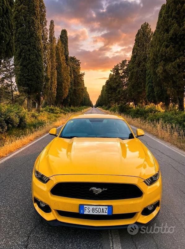 Usata Ford Mustang Fastback 317 CV (233 kW) 2015 Giallo