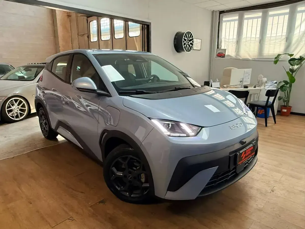 Usata BYD Dolphin Boost 35 kW (48 CV) 2026 Blu/azzurro Utilitaria