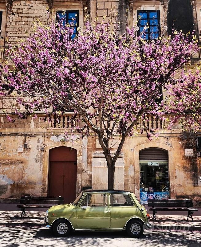 Usata Mini Cooper 1970 Verde Utilitaria