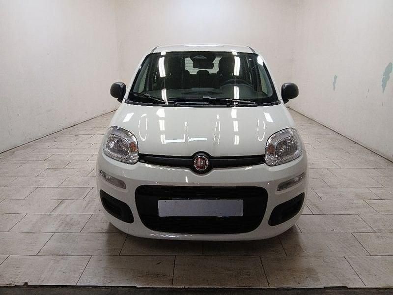 Nuova Fiat Panda Icon 69 CV (50 kW) 2025 Bianco Utilitaria