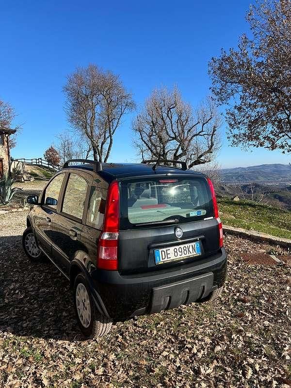 Usata Fiat Panda 4x4 Climbing 60 CV (44 kW) 2006 Utilitaria