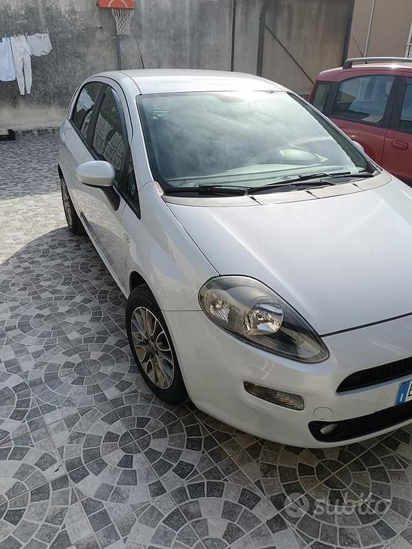 Usata Fiat Punto Easy 75 CV (55 kW) 2013 Bianco Berlina
