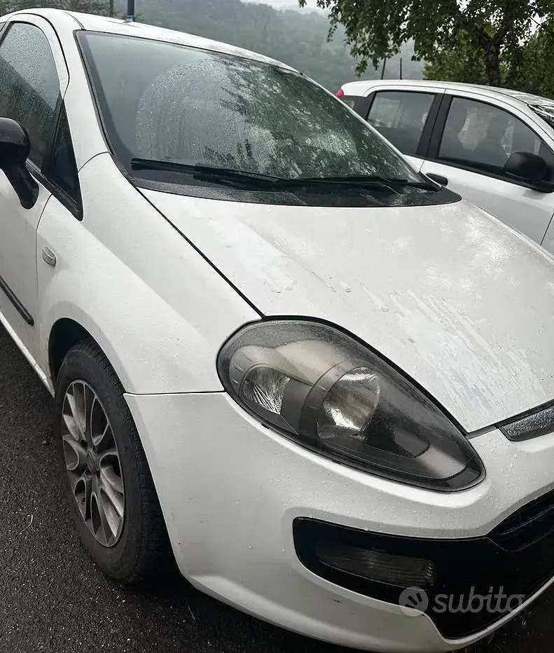 Usata Fiat Punto 75 CV (55 kW) 2011 Utilitaria