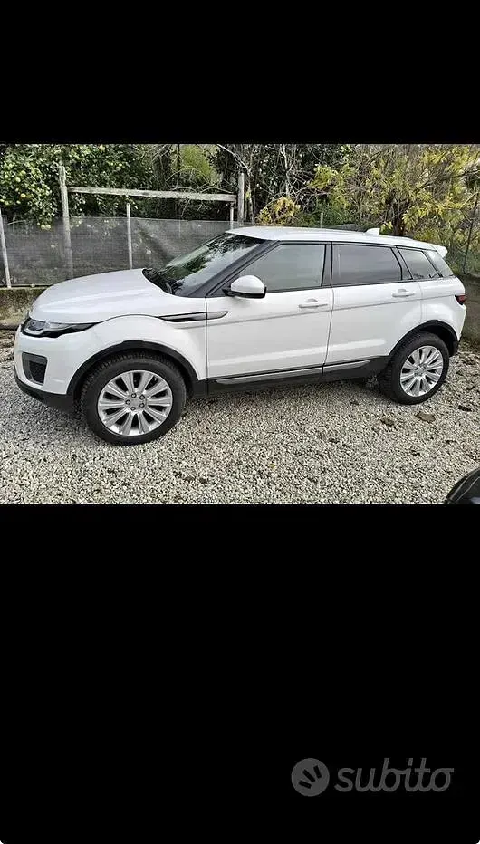 Usata Land Rover Range Rover evoque 150 CV (110 kW) 2017 Bianco Station wagon