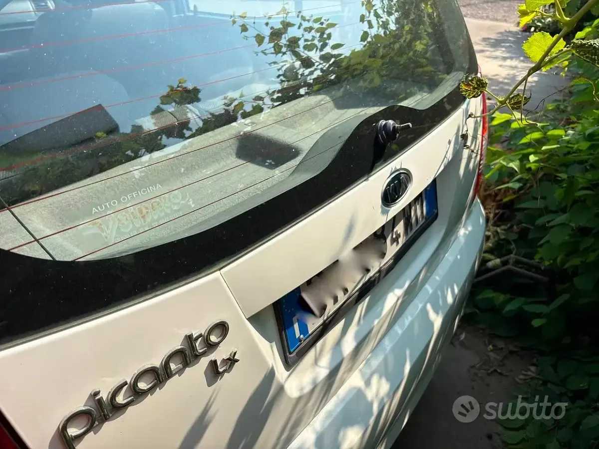 Usata Kia Picanto Urban 61 CV (44 kW) 2006 Bianco Utilitaria
