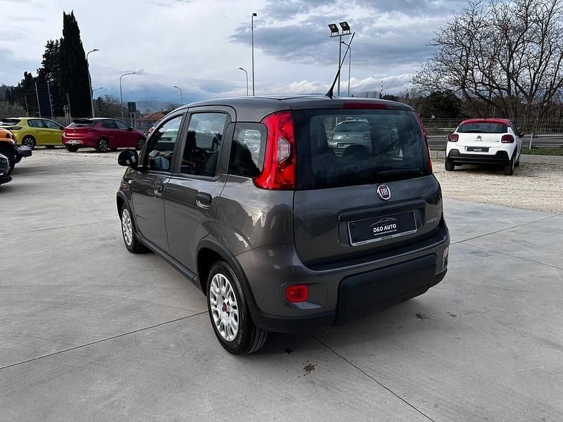Usata Fiat Panda S 70 CV (51 kW) 2022 Grigio Berlina
