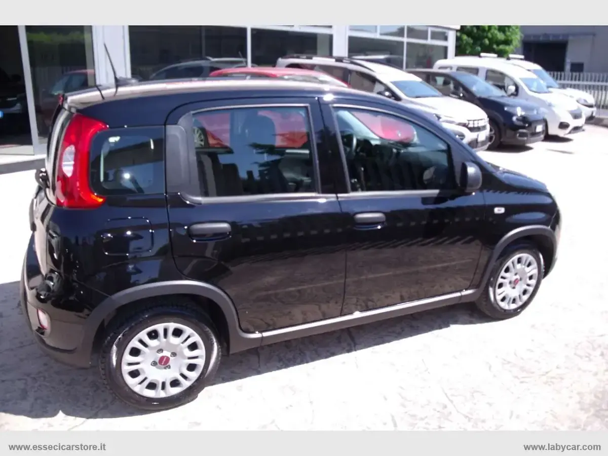 Usata Fiat Panda 69 CV (50 kW) 2023 Nero Utilitaria