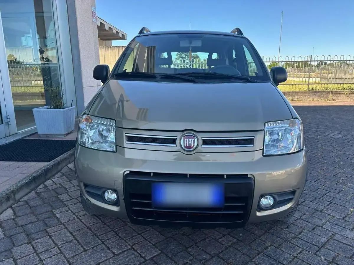Gebraucht Fiat Panda 4x4 Climbing 69 PS (50 kW) 2011 Gold Kleinwagen