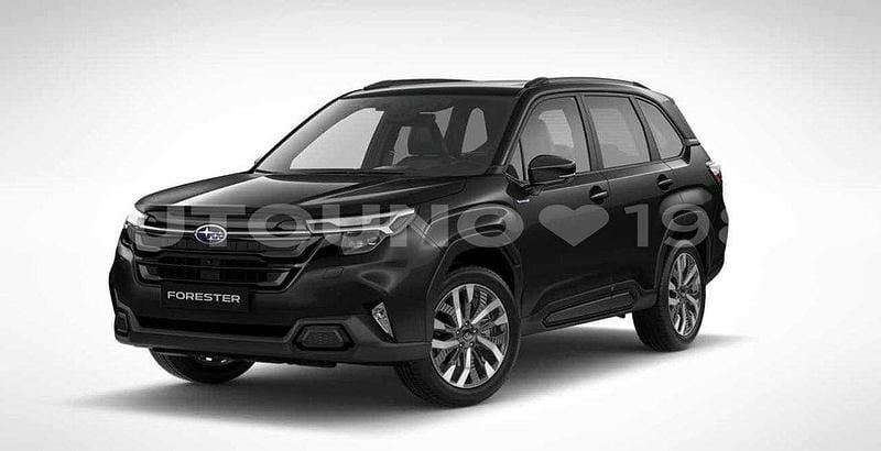 Nuova Subaru Forester Premium 136 CV (100 kW) 2025 Grigio SUV