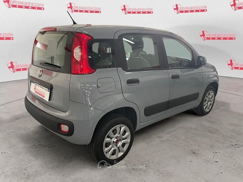 Usata Fiat Panda Easy 69 CV (50 kW) 2020 Grigio Utilitaria