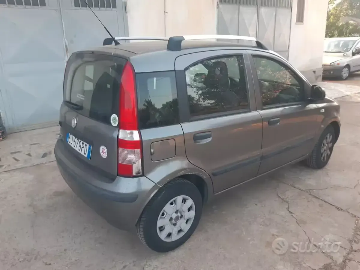 Usata Fiat Panda Dynamic 69 CV (50 kW) 2011 Grigio Utilitaria