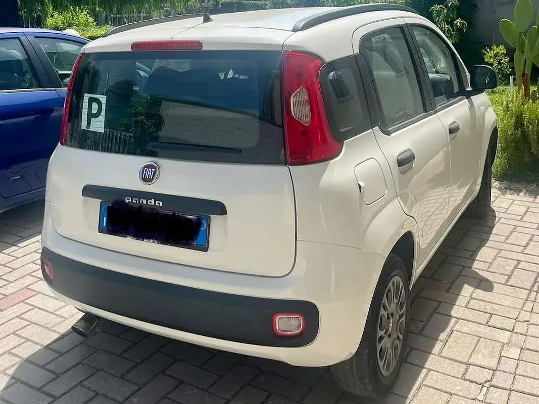Usata Fiat Panda Pop 69 CV (50 kW) 2013 Bianco Utilitaria