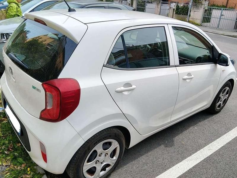 Usata Kia Picanto City 67 CV (49 kW) 2019 Bianco Utilitaria