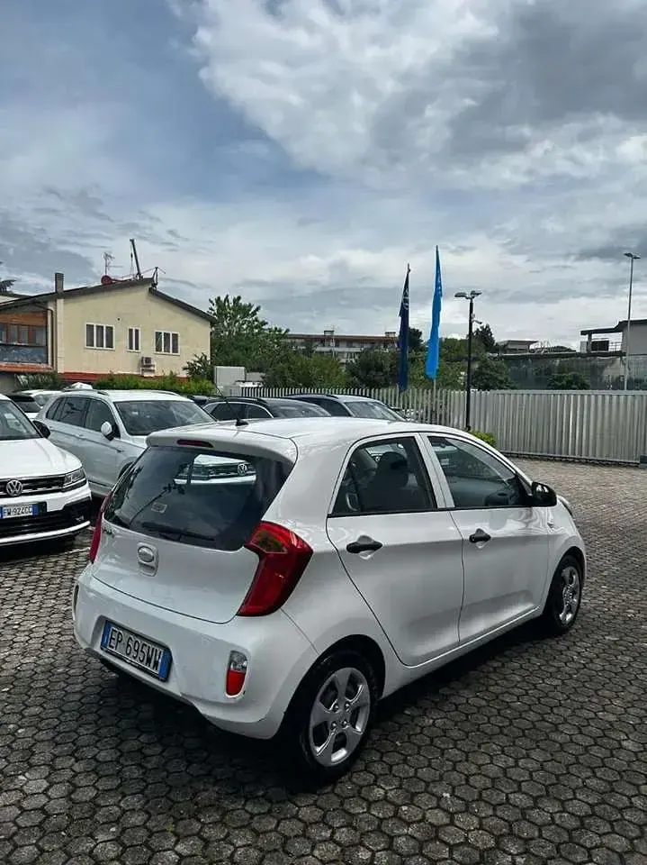 Usata Kia Picanto City 69 CV (50 kW) 2013 Bianco Utilitaria