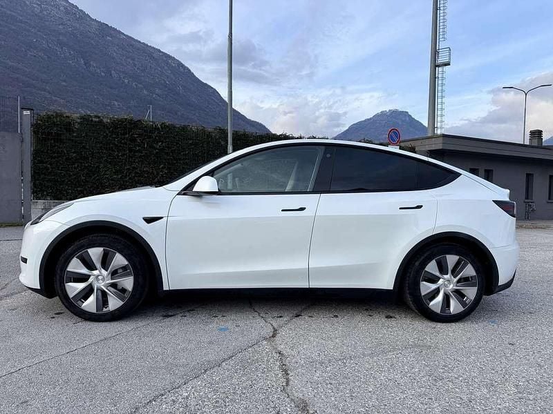 Usata Tesla Model Y RWD 88 kW (120 CV) 2024 Bianco SUV