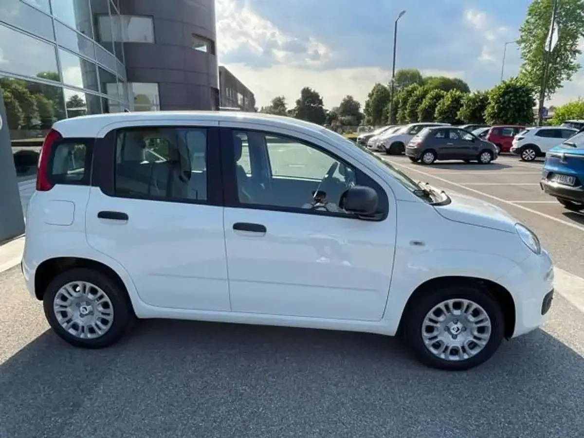 Nuova Fiat Panda Pop 65 CV (47 kW) 2026 Bianco gelato Utilitaria