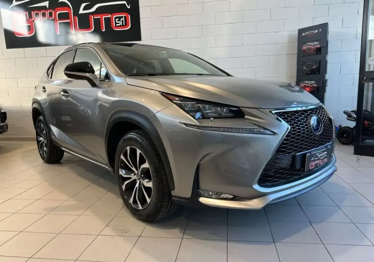 Usata Lexus NX300h Sport Line 155 CV (114 kW) 2015 Grigio SUV