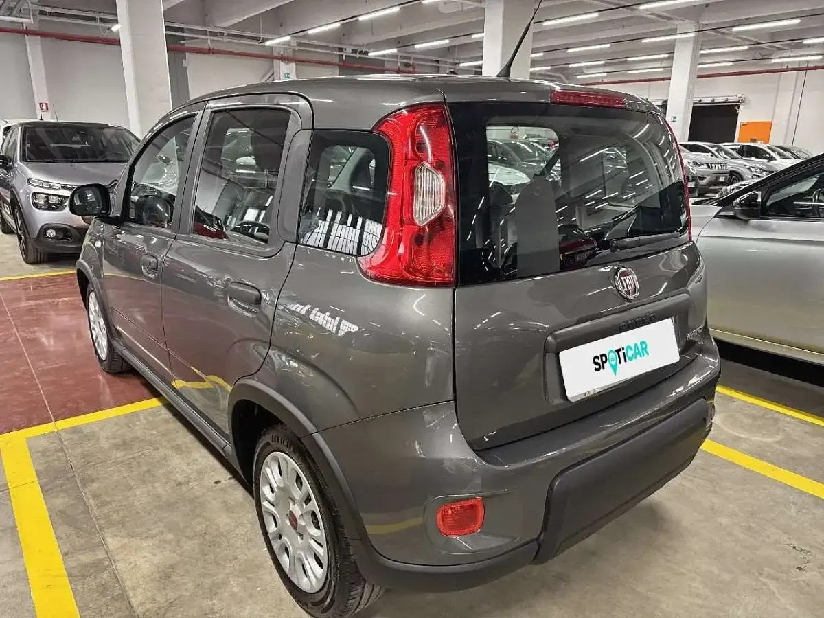 Usata Fiat Panda S 69 CV (50 kW) 2022 Grigio Utilitaria