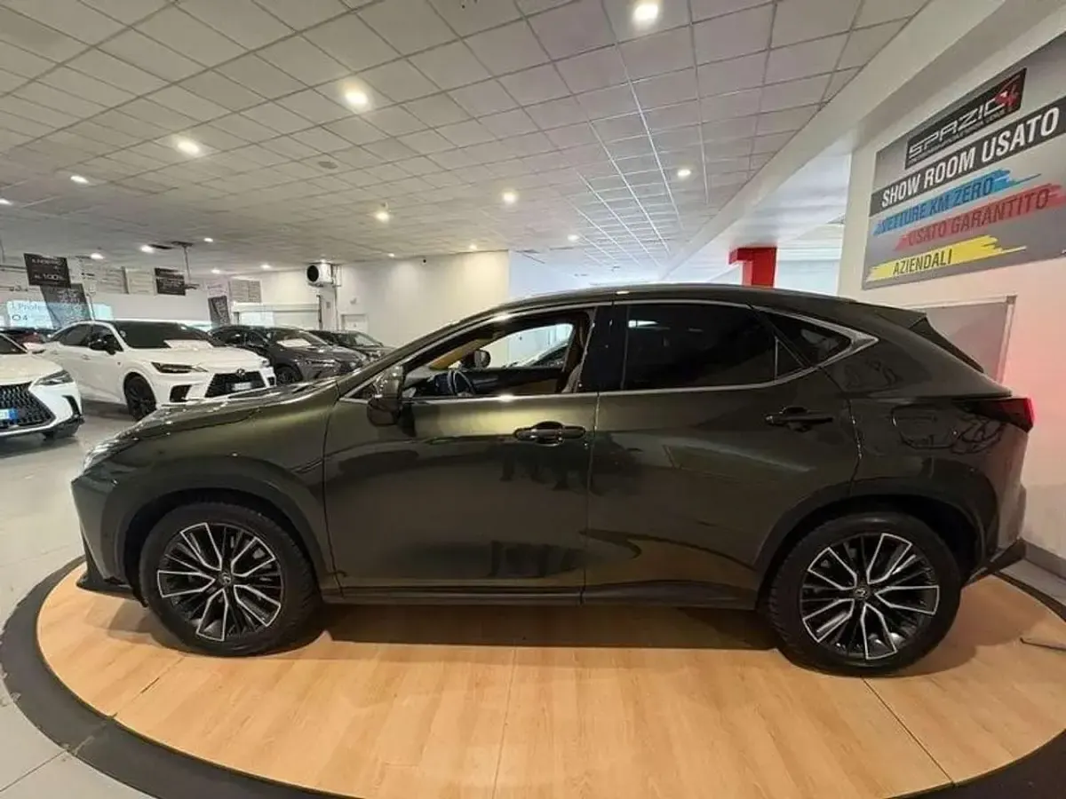 Usata Lexus NX200t Luxury Line 309 CV (227 kW) 2023 Verde SUV