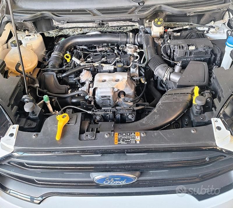 Usata Ford Ecosport Active 125 CV (91 kW) 2022 Bianco SUV