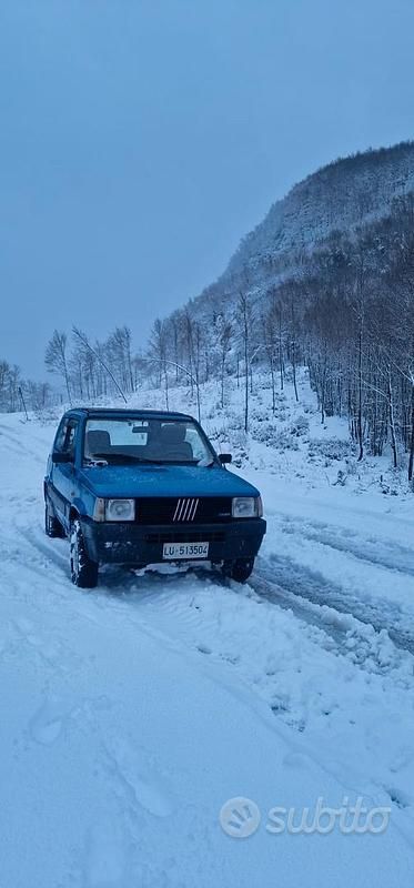 Usata Fiat Panda 4x4 1989 Utilitaria