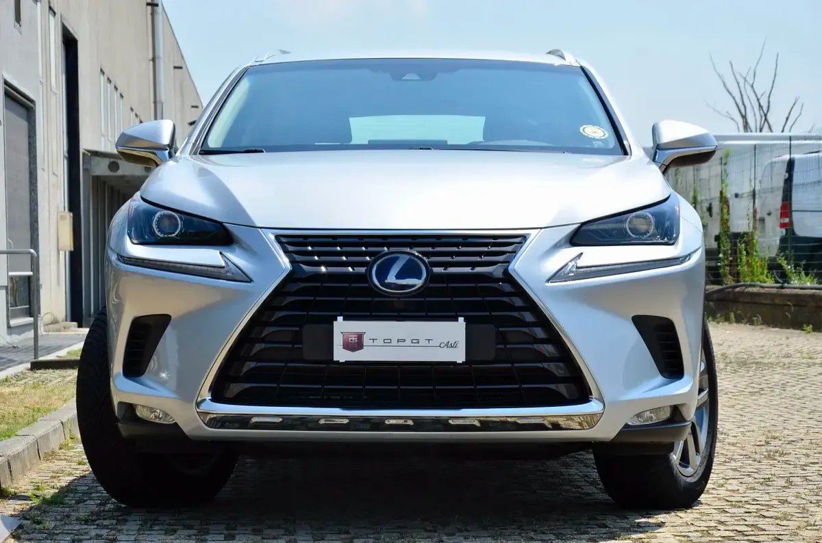 Usata Lexus NX300h Business Edition 197 CV (144 kW) 2019 SUV