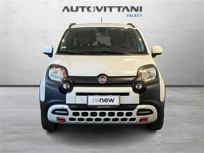 Usata Fiat Panda Cross Cross 70 CV (51 kW) 2024 Bianco Utilitaria