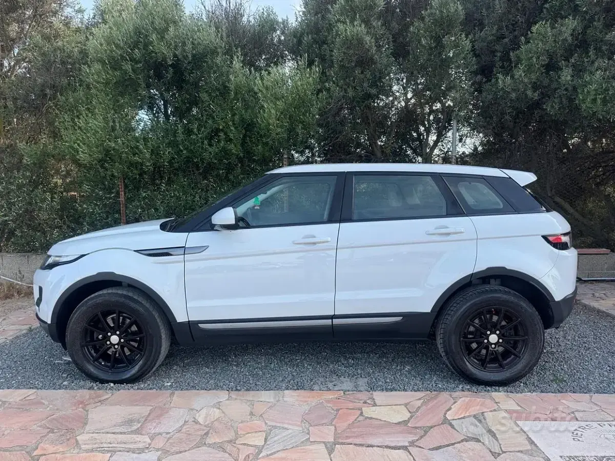Usata Land Rover Range Rover evoque Pure 150 CV (110 kW) 2014 Bianco SUV