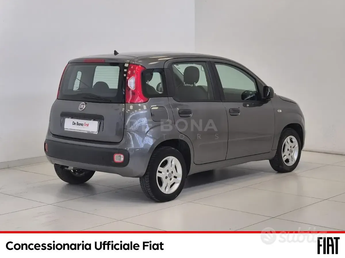 Usata Fiat Panda Easy 69 CV (50 kW) 2019 Grigio Utilitaria