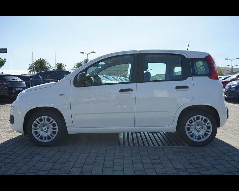 Usata Fiat Panda 70 CV (51 kW) 2024 Bianco divino Utilitaria
