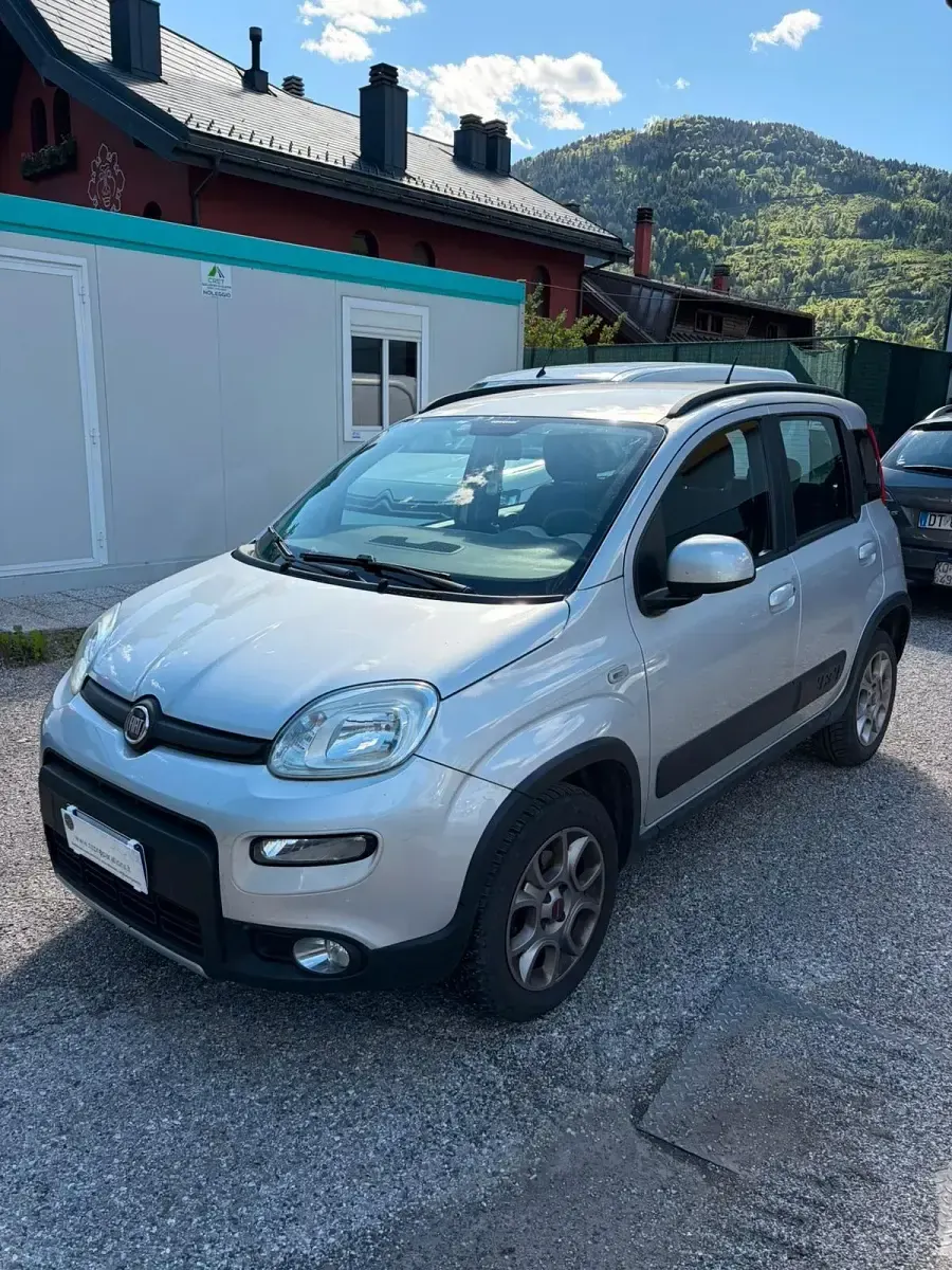 Usata Fiat Panda 4x4 S 95 CV (69 kW) 2016 Grigio Utilitaria